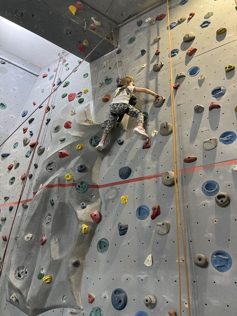 Ein kleines Mädchen hängt in den Sicherheitsgurten an der Kletterwand auf halber Höhe und greift nach einem Klettergriff